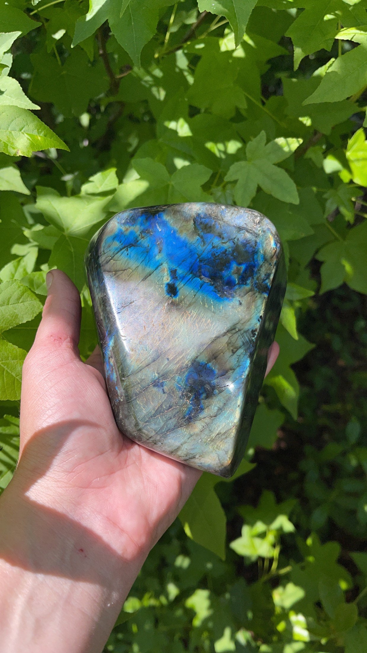 Labadorite Free Form Slab