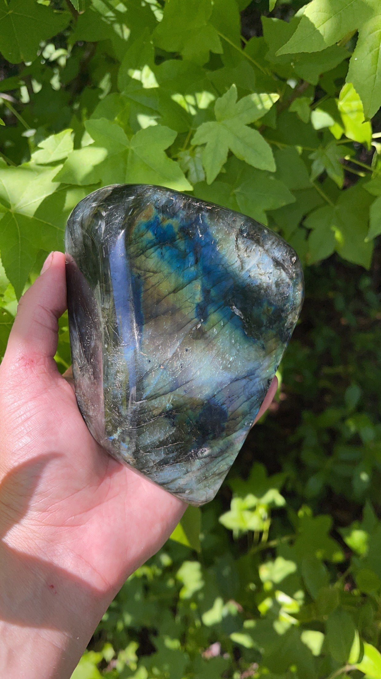 Labadorite Free Form Slab