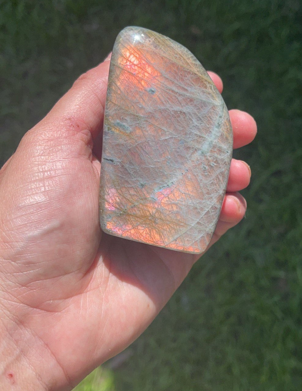 Labradorite small free form