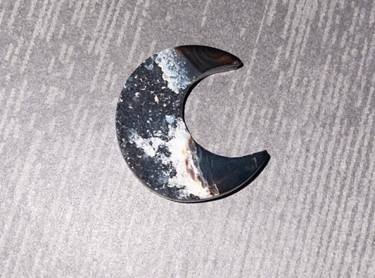 Druzy Fossilized Palm Root Crescent Moon